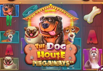 Microgaming - игровой автомат онлайн от Various с RTP 96.08%